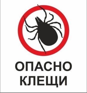 � ����������� ���� ������� ����� ���������� ������