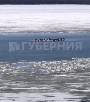 ������� �������� �� ������� �� �����