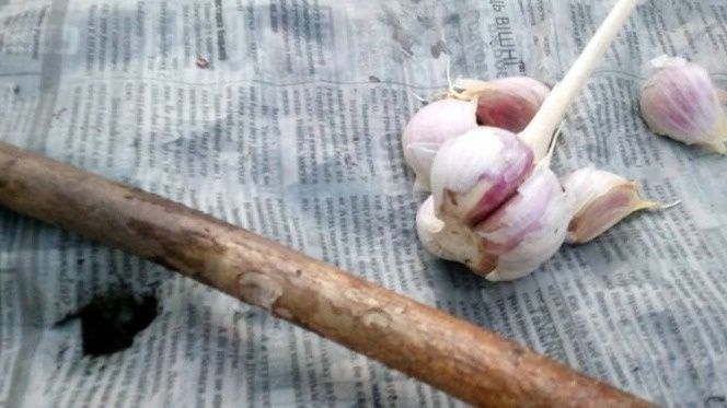 ����� ������ �� ������� �������: ��� ������ �������� �������� ������� ������