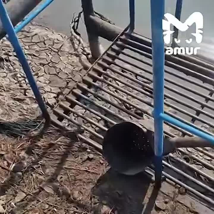 ������������ ���1, ��-�� ������� ���� �������� ����������� ������ � ����������, �� ��������������� �� ����� ����