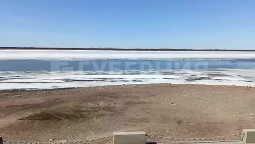 ���� ��������� �� ������ ������