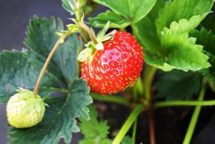 ���� �� ��������� � ����: ������� ������ � ������ � �����������