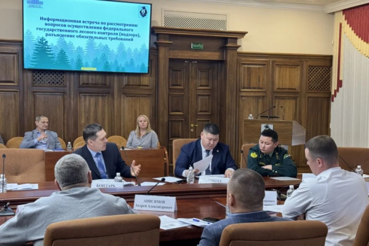 В Хабаровском крае утвердили новые правила для лесного бизнеса