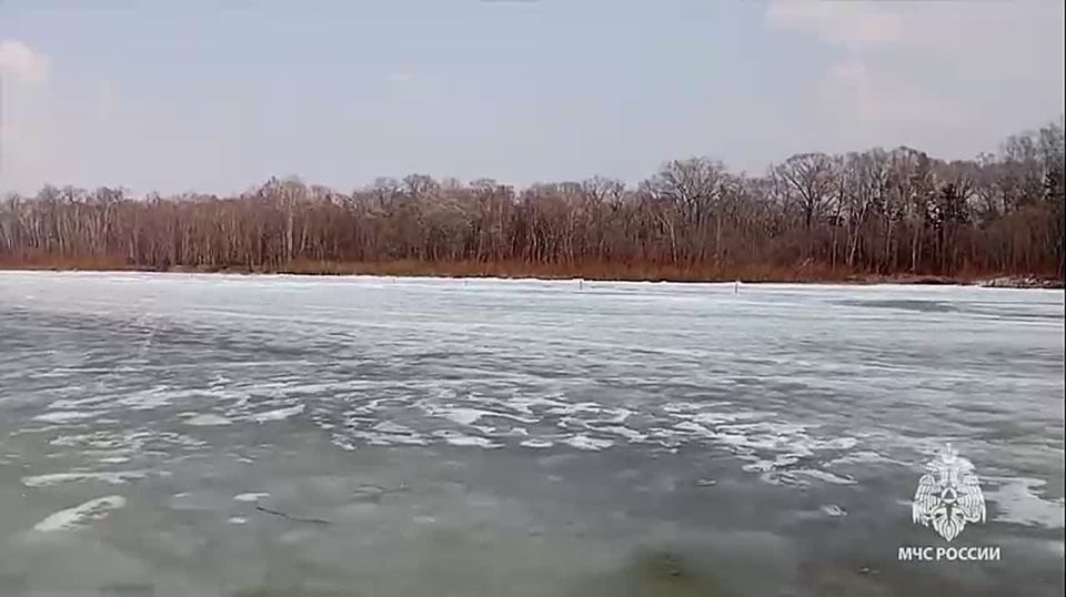 � ����������� ���� �� ���� ������ ������� ������ �� ���������� �������� ����