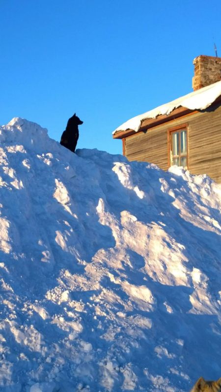 ������ � ����������� ����. ���������