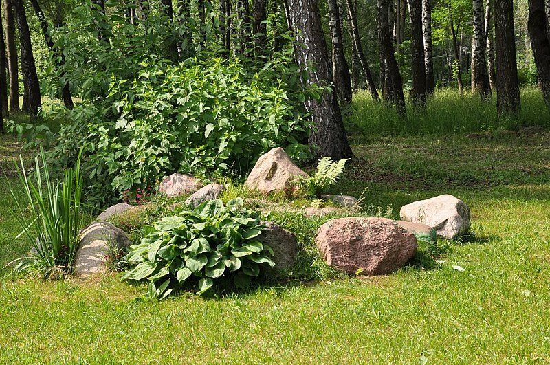 ��� ������� ���������� �����: ������ ��� ���������� ���������