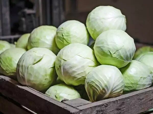 ��� ������ �������, ������� �������� ��� �������� � ��������