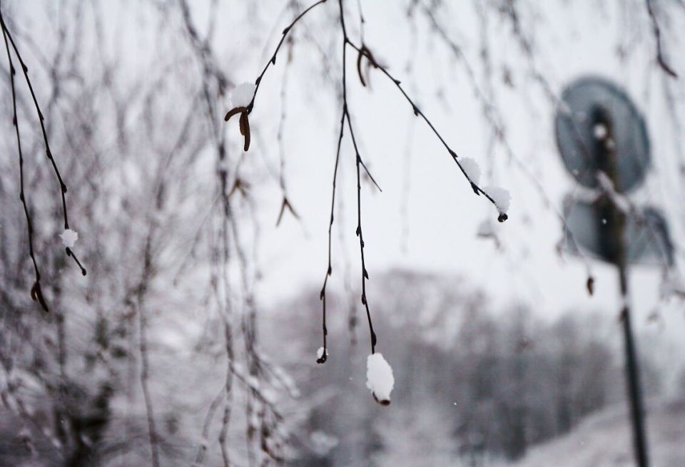 ������ ��������� ������ �� ������ � ����������� ���� 7 ������