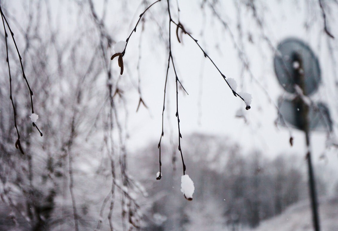 Циклон продолжит влиять на погоду в Хабаровском крае 7 апреля