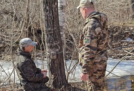 ����������� �������� � ����������� ���� ��������� ��� ���������