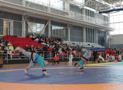 Фестиваль национальных видов единоборств пройдёт в Хабаровске 12 апреля