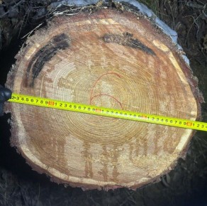 ��� ������ ������ � ������ ��������� � ����������� ����