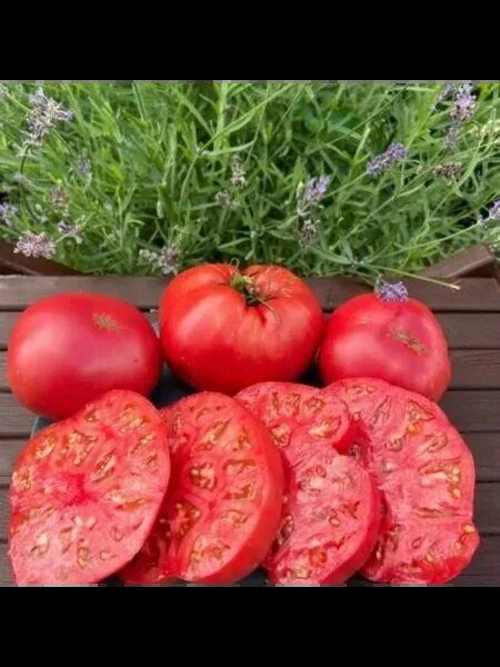 ����� ������� �����: ������ ������ �� ������� � ��� ���������� ���������