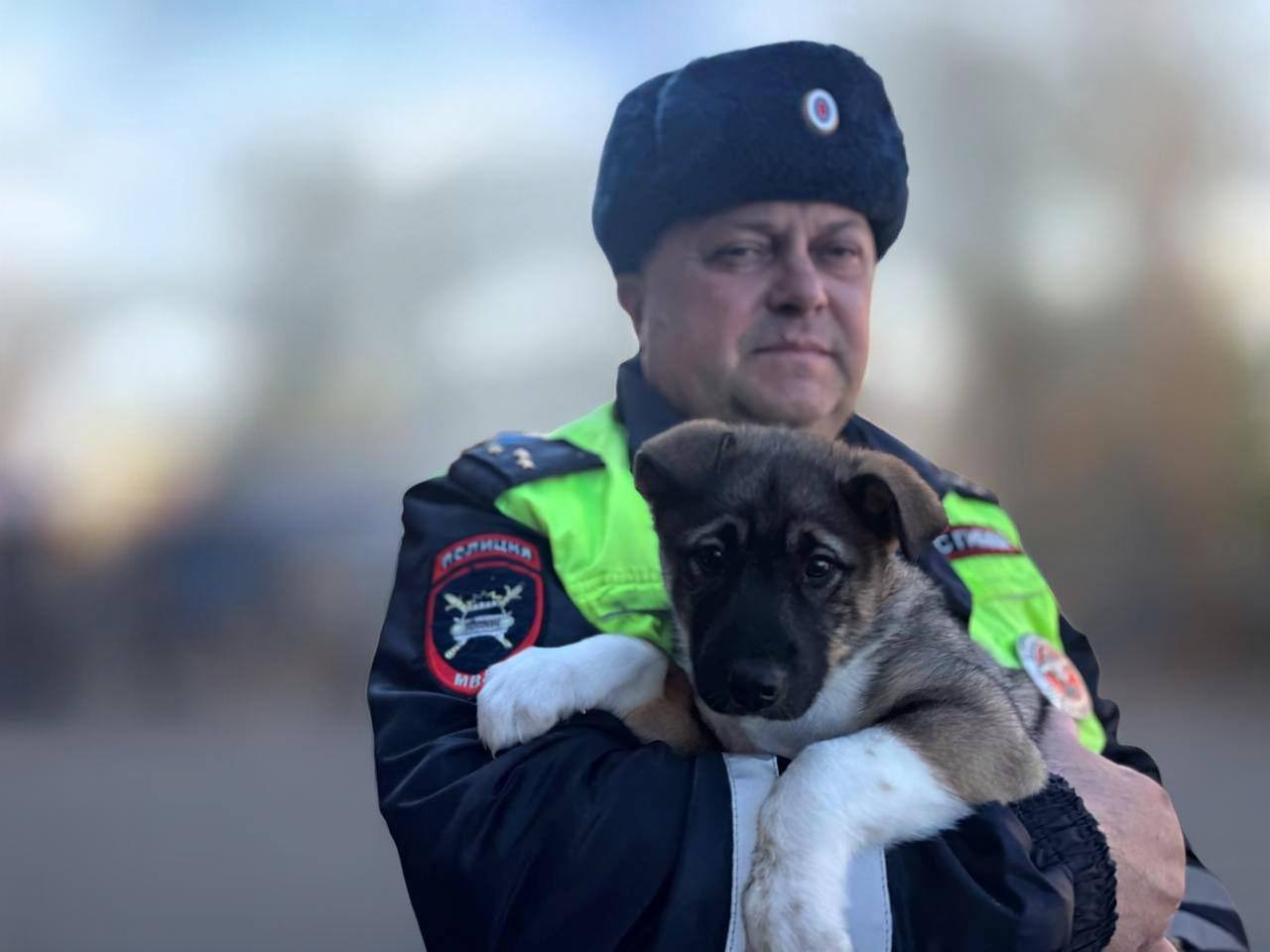 В Комсомольске-на-Амуре сотрудник Госавтоинспекции подарил беспомощным щенкам шанс на жизнь В Комсомольске-на-Амуре сотрудник Госавтоинспекции подарил беспомощным щенкам шанс на жизнь