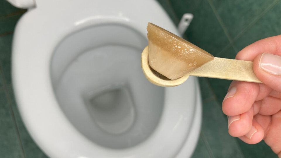 ����������� ������ ������������ ������� � �������� � ������� � ������� �������� ��������