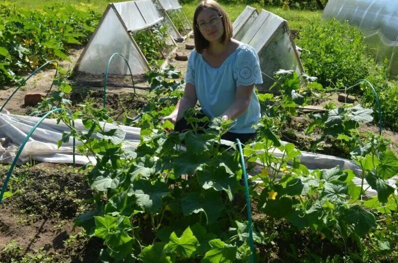 ��� ��������� ������ ������: �������� ������ ����� � ������� ��� �������� ������