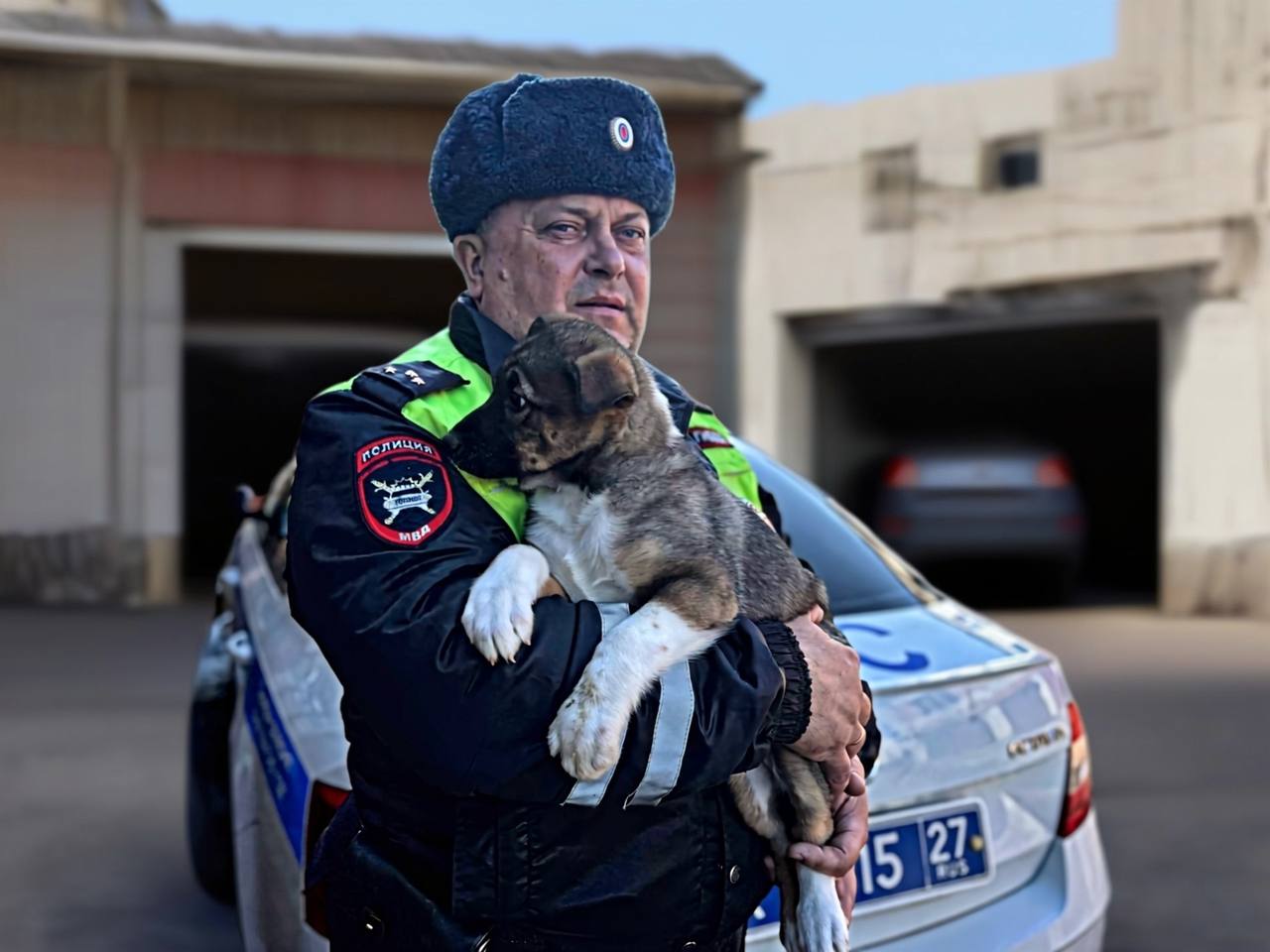 В Комсомольске-на-Амуре сотрудник Госавтоинспекции подарил беспомощным щенкам шанс на жизнь В Комсомольске-на-Амуре сотрудник Госавтоинспекции подарил беспомощным щенкам шанс на жизнь