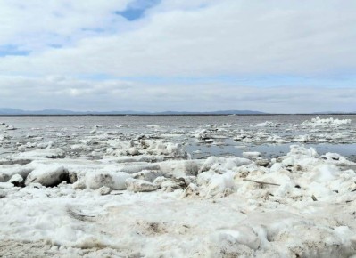 ������� �� ����� ����� ���������� �������� ������ ��������