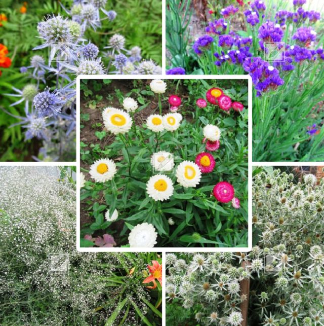 ���������: �� ���� � ���� ��� �����