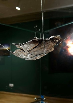 ������� ��������� �������� ����� �� �������� ����� ������� ����������