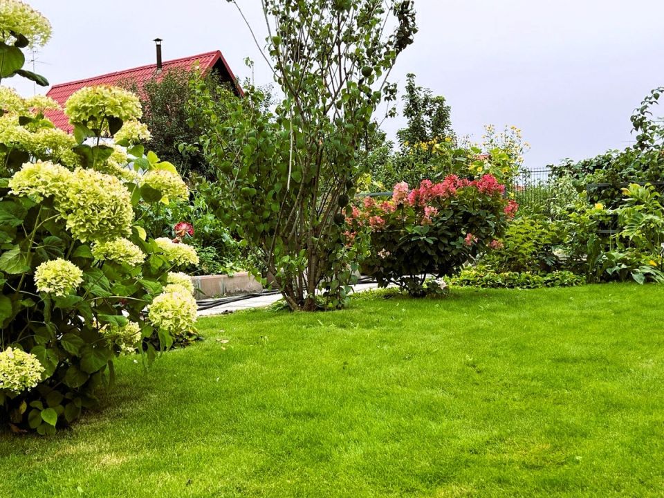 ������� ���������� ������: ��� ������������� ������� ���� ����