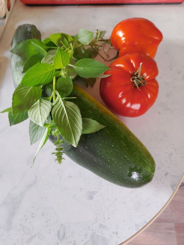 ������� �� 6 �����: ���������� ����������� �� ������� �����