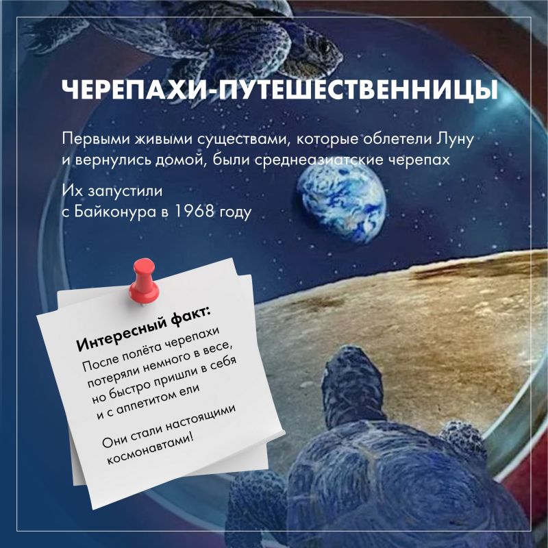 ����������� ������� ���������: �����, ������� ��� ������