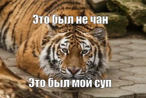 ������ ������� � ������� 250 ����� ����� ��������� �����