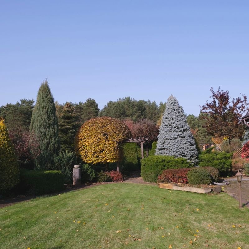 ������� ����������: ������� ����� � ����� ���������������