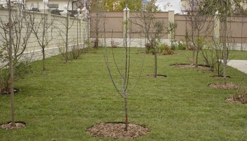 ��� ��������� �������� ������� � ������� ������: ������ ��� ��������� ������