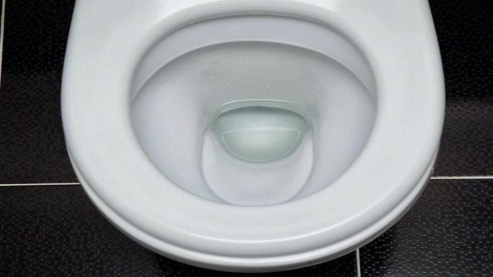 ��� ����� ���������� �� ������ ����� �� �������: ������� ������