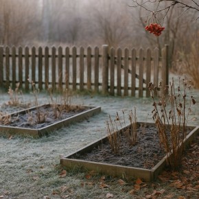 ������� �������: ��� ��������� ������� �������� ������� �������� � ��������