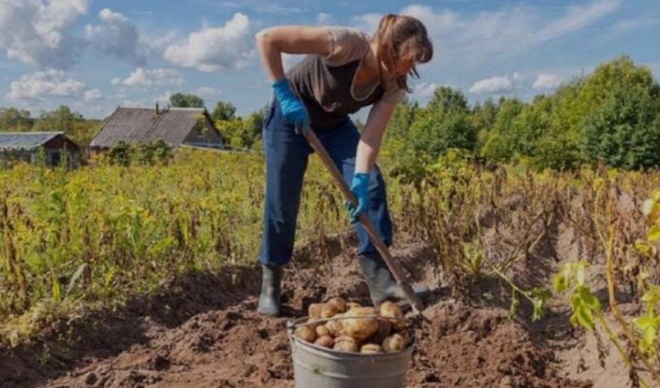 ����� �������� ��������� ���� � ���� ��������? ����������� � ������ �����