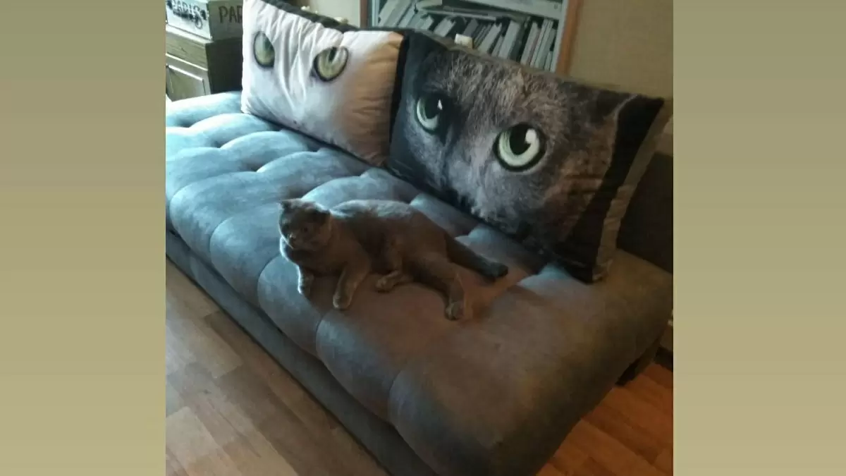 Как очистить диван от пятен: простые и эффективные средства из вашего дома