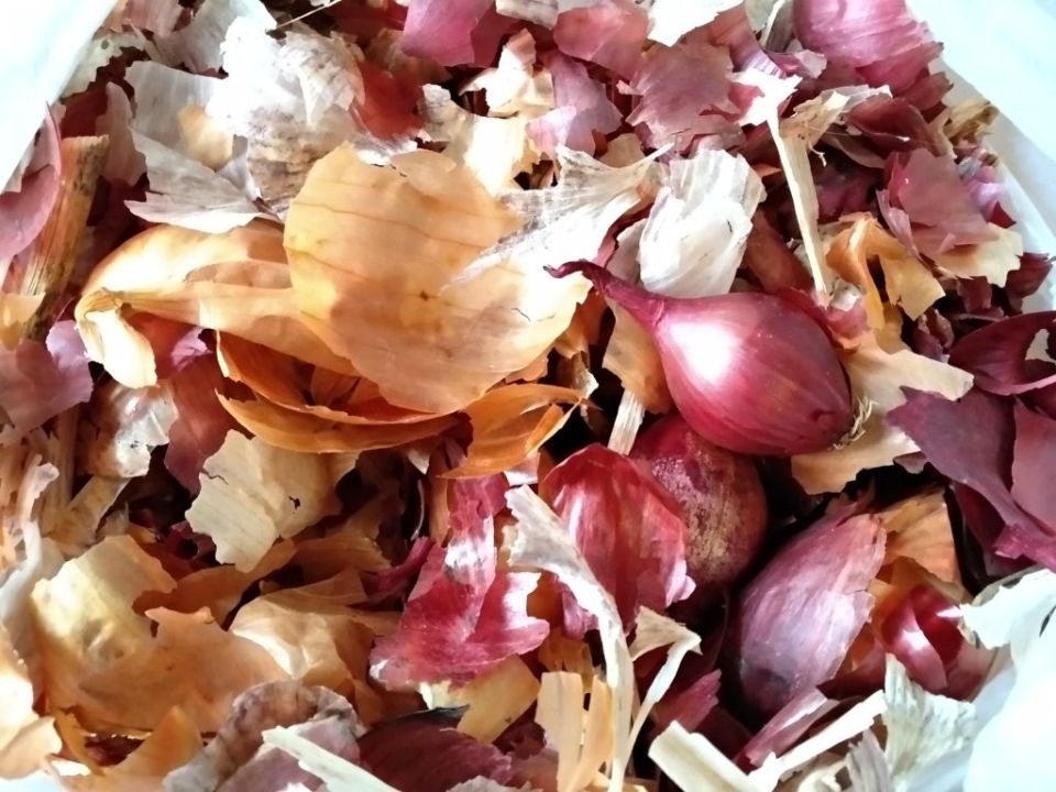 ����� �� � �������� ������� � ���� ������ ��� �������� ���, �������� �����