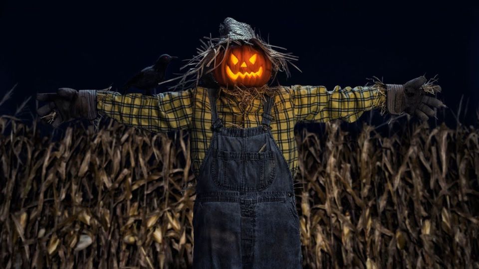 ��� ���� ������ ������� ���� � ������� �����