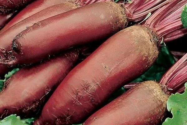 ����� ������: ��� �������� ��������� ������ � �������� ���� ����