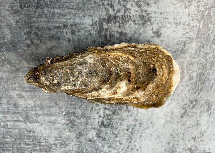 ������� ������: ����, ������� ������������ ������� �������