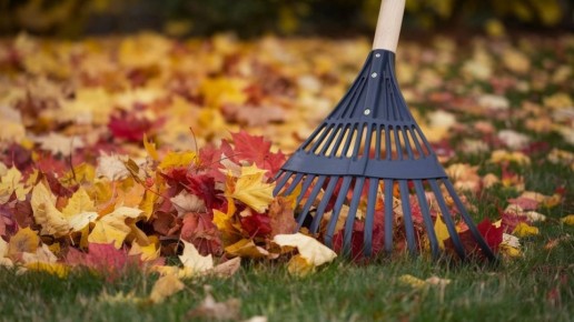 ������ ������� ��������� ���� � ���� � ��������� ������?