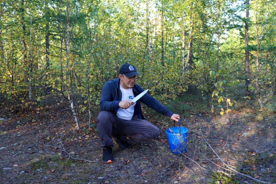 ����� �����: ������� ����������� � ��������� ���� ����