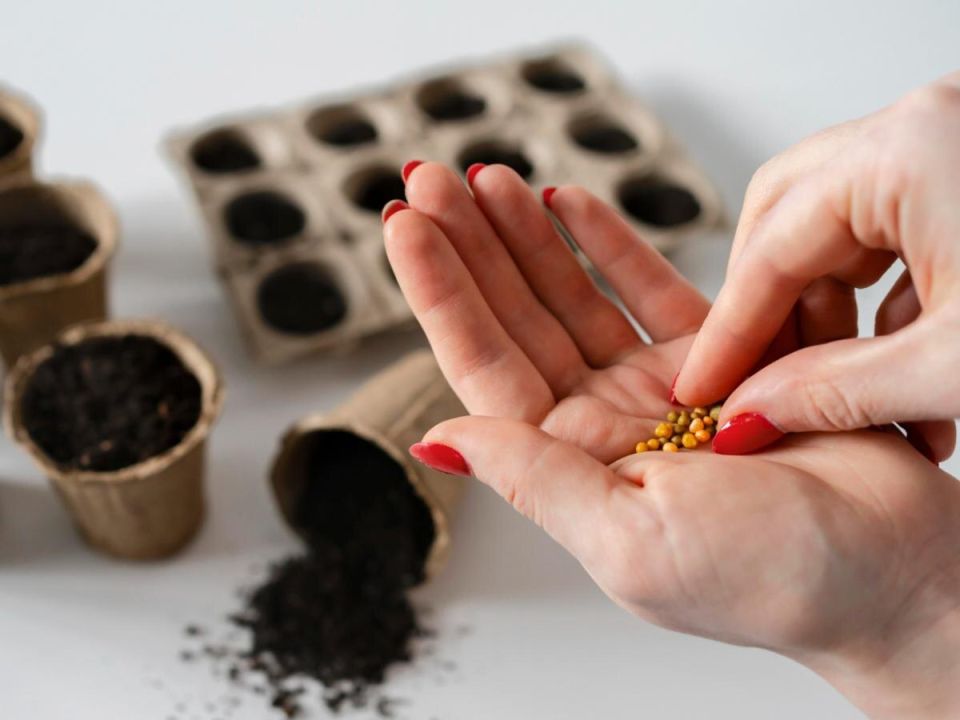 ������� �������� ��������� ������� �������