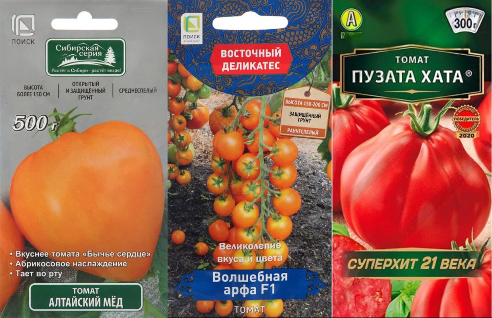 ������ ����� ������� ��� ������ �������