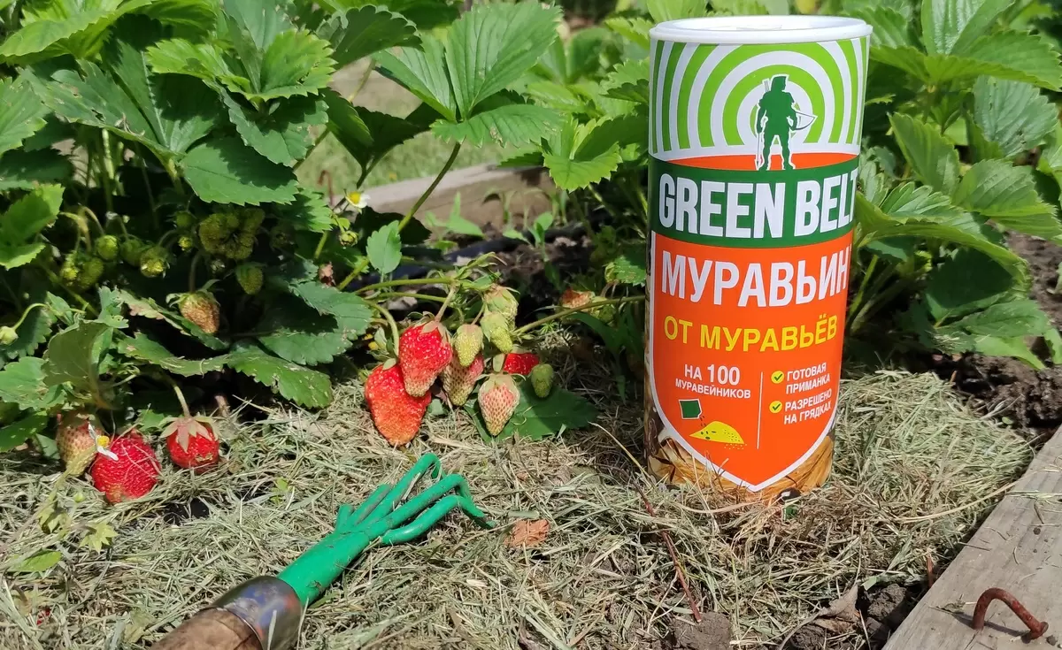 Эффективная борьба с муравьями: как гранулы 'Муравьина' спасут ваш сад