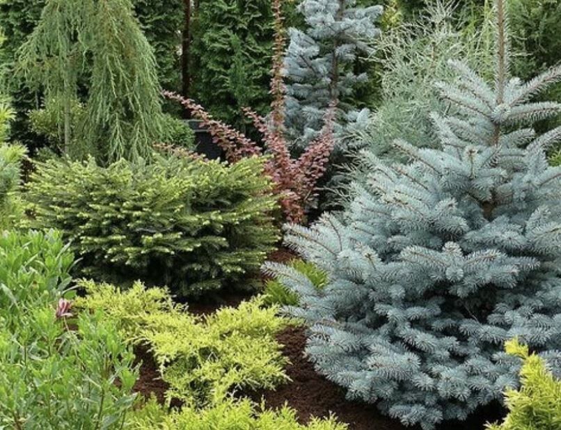 ��� ��������� ��� ���������: ������������ ����������� �� ������������ ��������� �����������