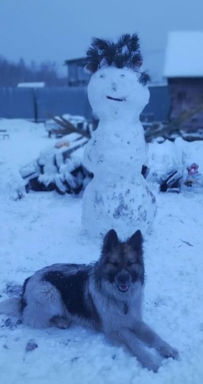 Погода в Хабаровском крае. Хабаровск