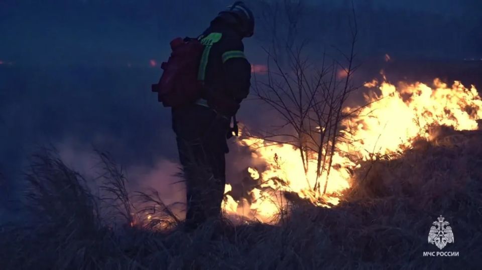 �������� ������ �� ���� ���� ���������� � ����������� ����