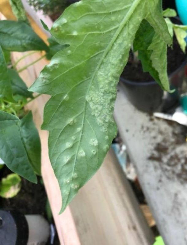 ��� �������� ������ � �������: ��� �������� �������