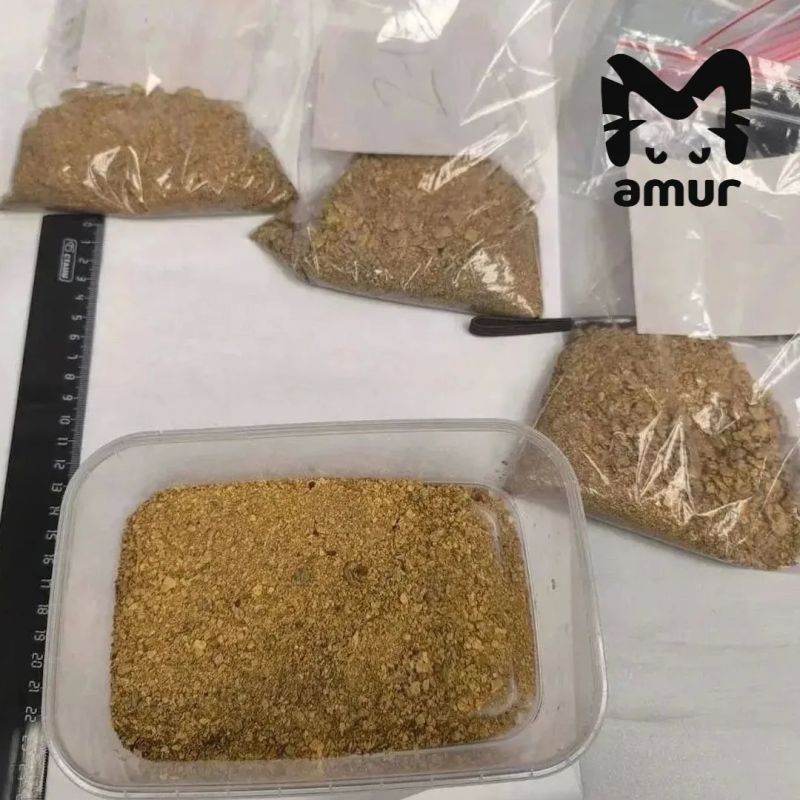 ������ �� 34 �������� ��������� � ������� ������ ���� � ����������� ����