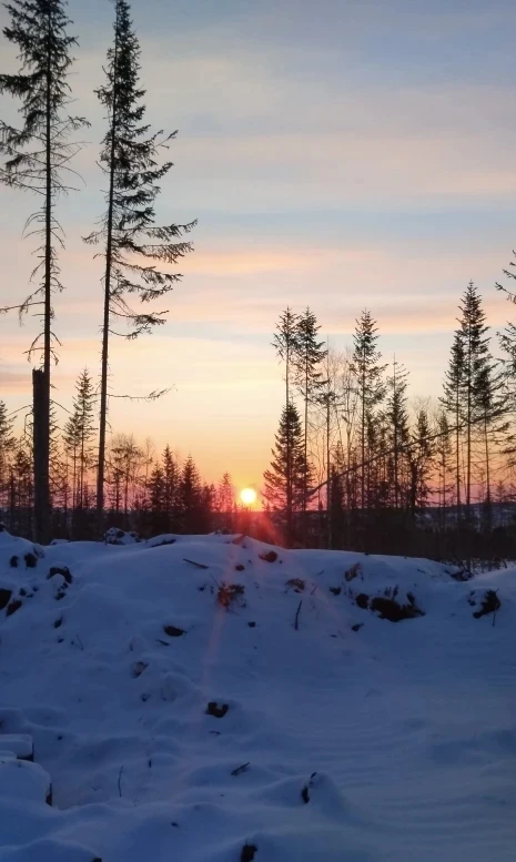 Погода в Хабаровском крае. Хабаровск