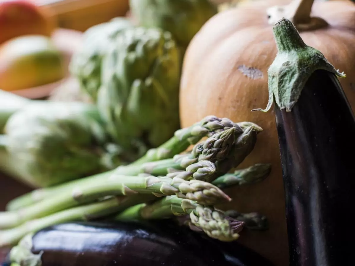 Экзотика без капризов: редиса легче, а урожай идёт в руки